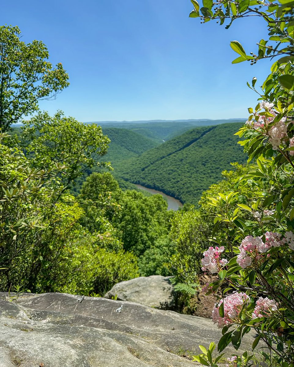 WVtourism's tweet photo. More spring views like this please! 🌸

📍 Snake Hill Wildlife Management Area
📸 https://t.co/8DvnPrzn6G https://t.co/8229futKoM
