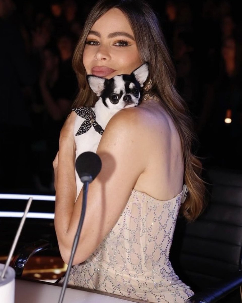 SofiaVergara's tweet photo. my 2 favorite type of acts in one!!!!!! LOVED THAT!!! now i just need someone to teach amore how to do that 😂🤩🐶 https://t.co/dNhMRd5XFQ