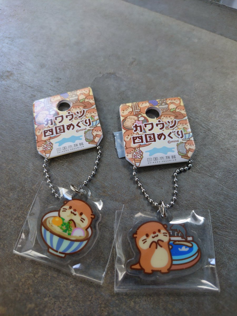はーるー様☆専用ページ 全部欲しいけどとりあえず2個だけ🦦🦦💕