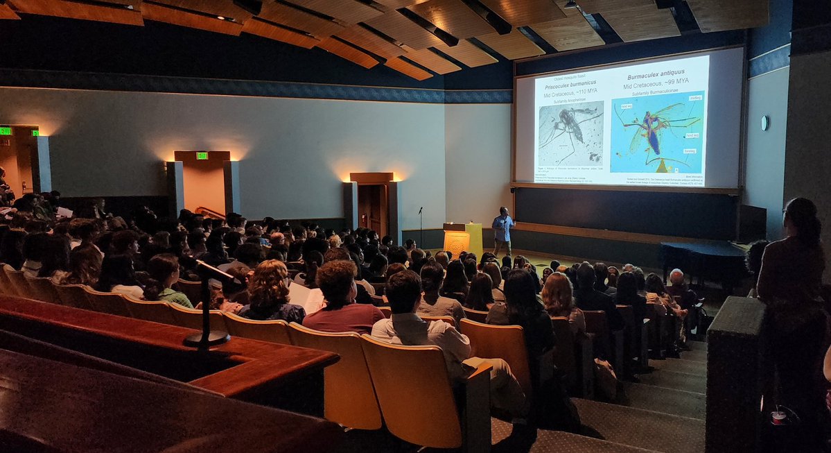 willida25's tweet photo. Another INCREDIBLE DAY @DNALC this year's DNA Barcode Symposium.   Hundreds of SS across LI, including Shelter Island, presented their original DNA projects &amp; shared ideas! @NYSMTP @STANYSorg https://t.co/JjustOeaFf