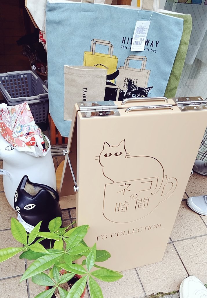 OrangeCafe33's tweet photo. 豪徳寺周辺のお店猫だらけで可愛い🐱 https://t.co/lWHmGkWcS6