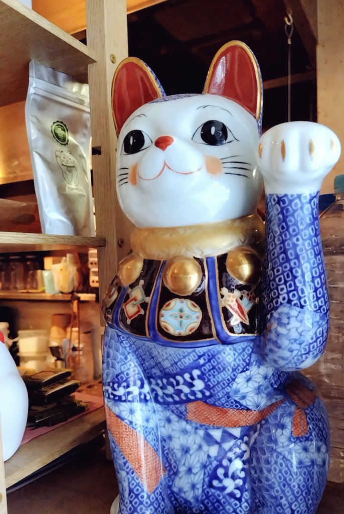 OrangeCafe33's tweet photo. 豪徳寺周辺のお店猫だらけで可愛い🐱 https://t.co/lWHmGkWcS6