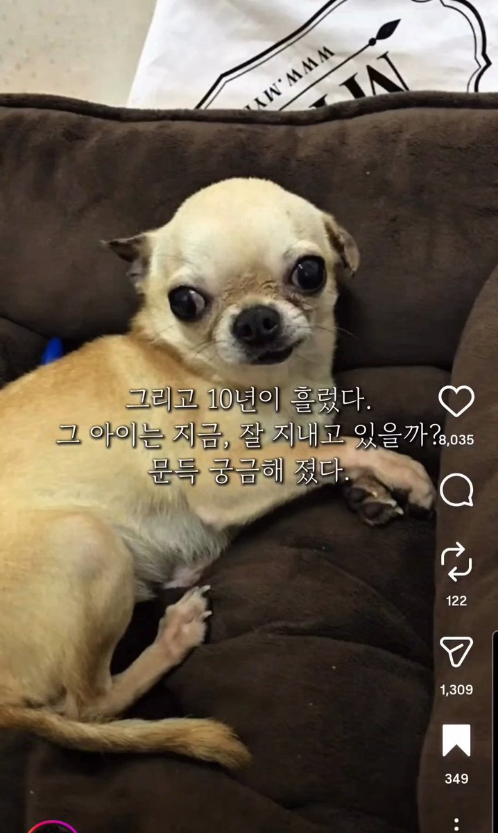 찐헤비약🐤 tweet media