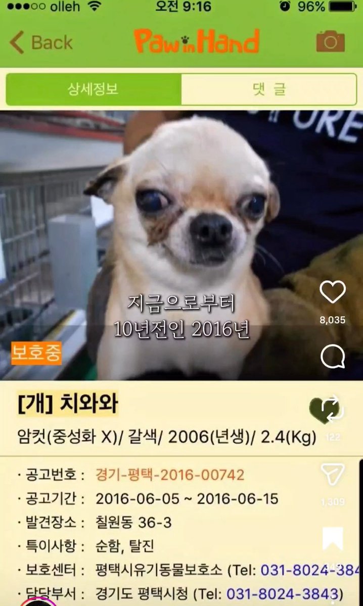 찐헤비약🐤 tweet media