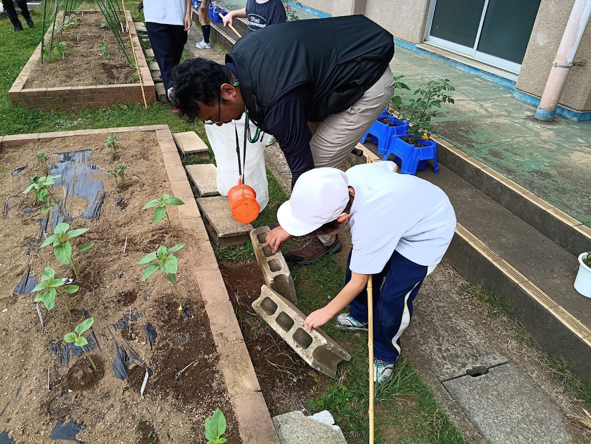 iLab_kids's tweet photo. \\ アイラボキッズ体験教室を行いました //

昨日今年度初回の体験教室を実施しました。
（台風から逃げ切り！）

君原小学校1・2年生産と一緒に、
筑波大学の藏滿先生と学生さんを講師に迎え、
校庭の昆虫採集・観察、
ファーブルの紹介（絵本読み聞かせ）を行いました。

#茨城県 #アイラボキッズ https://t.co/JZrVK9AEAL
