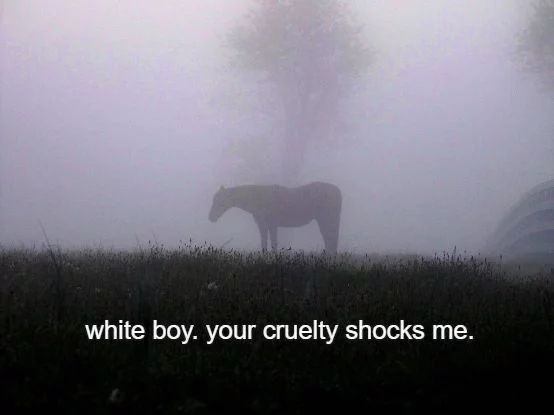equine__dentist's tweet photo. white boy… https://t.co/UtlZXRtaC7