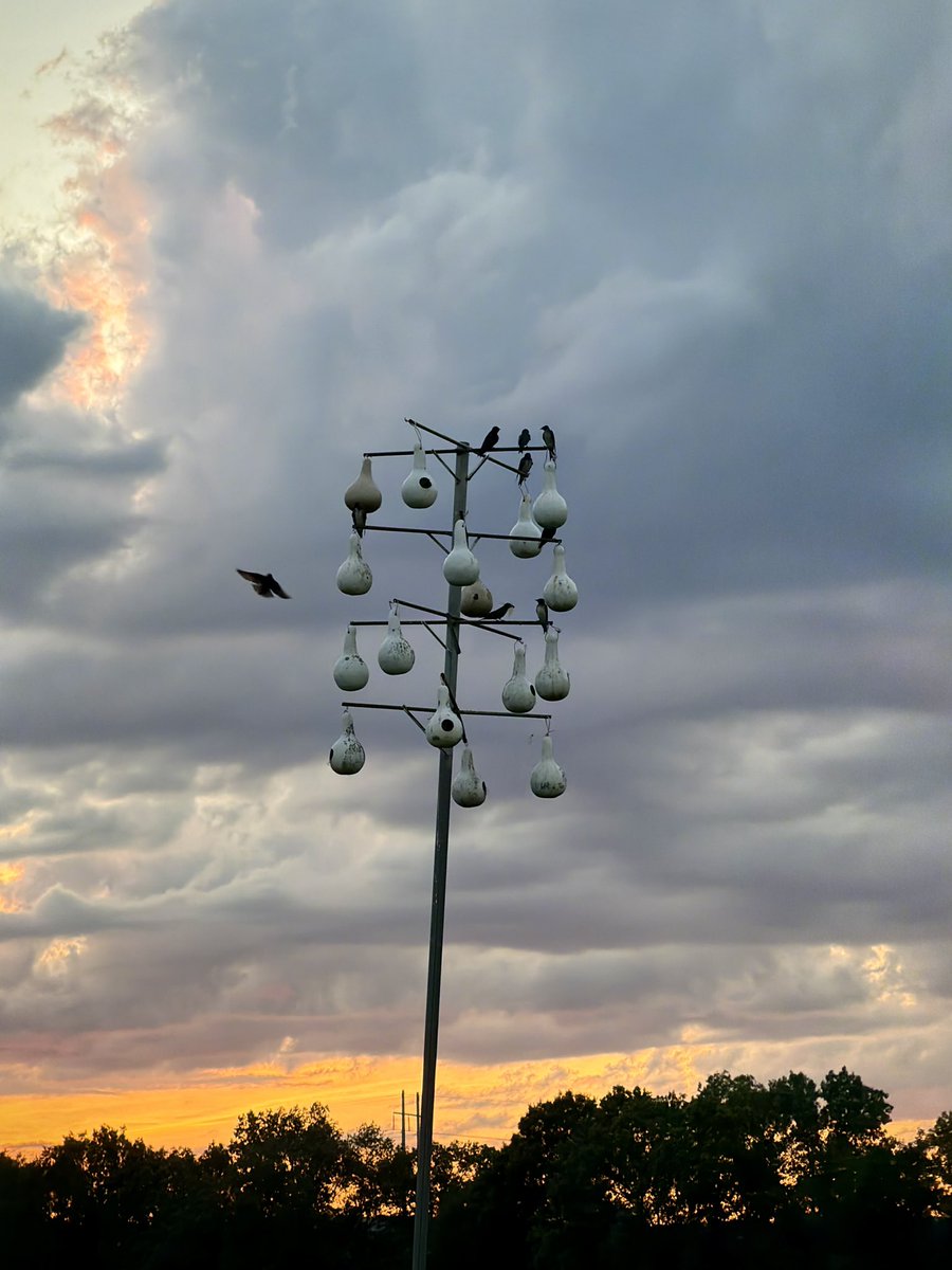 shutterbug267's tweet photo. Stunning #Sunset &amp; beautiful #Clouds over I-59 on #TheFarm in #NorthAlabama tonight 🧡@spann #Spann @NWS @NWSBirmingham #SunsetsAreBetterInTheSouth #iPhonePhotography #PurpleMartins https://t.co/pZlGuTdXyw