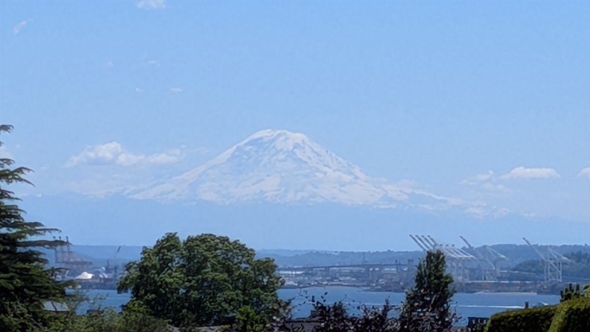matt415's tweet photo. Comparing May's trading using driving through a recent trip to Seattle.

- Stayed in my lane patiently for longer time bullish swings on $SNDK, $PLTR 
- Observed roadsigns for price direction and scanned ahead for yellow warning signs for price exhaustion.
- Wrong signs => edge https://t.co/rxZnNnytD3