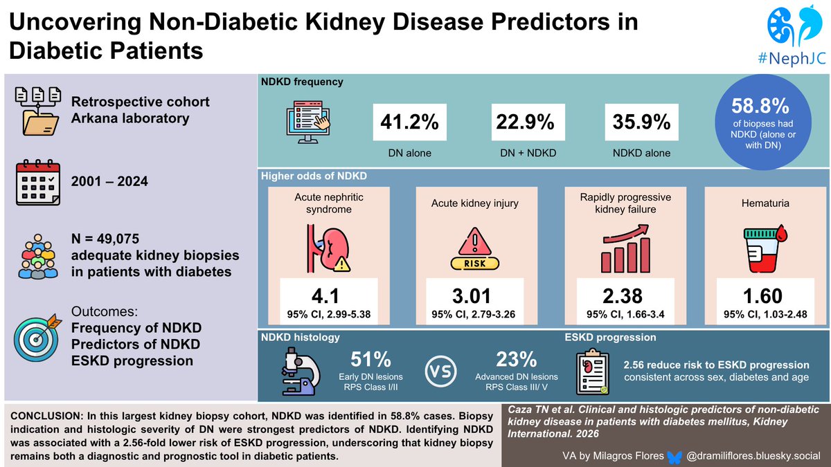 edgarvlermamd's tweet photo. Clinical and histologic 🔬 predictors of non-diabetic kidney disease in patients with diabetes mellitus ca. 2026 from @KIReports @Tiff_Caza 
#NephJC #Nephpearls 

#VisualAbstract by @dra_miliflores 

👉 https://t.co/ZXGNZclaNS https://t.co/AldpqnyoYD