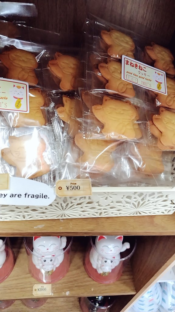 OrangeCafe33's tweet photo. 猫 https://t.co/qNVZjLDrMo