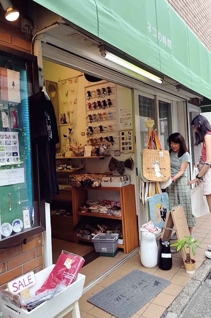 OrangeCafe33's tweet photo. 猫 https://t.co/qNVZjLDrMo