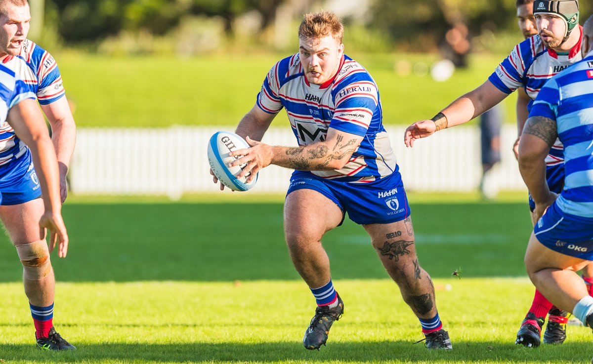 raysrugby's tweet photo. First Shute Shield start for 🇨🇦Canadian prop Kyle Steeves with Hunter Wildfires this past weekend.

photo: Stewart Hazell / Wildfires https://t.co/bANqUySefj