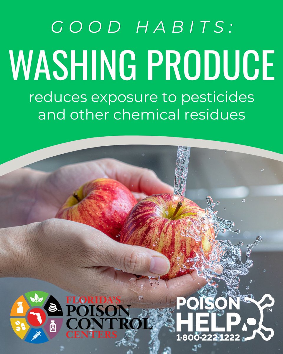 FloridaPoison's tweet photo. 🍓 NO SUDS: Washing fruits and vegetables helps remove pesticide residues, chemicals, and heavy metals. Rinse produce thoroughly with water and wipe dry with a clean cloth or paper towel. No soap needed!

More: https://t.co/QTrwEpkJGh

#Poison Help: 1-800-222-1222 https://t.co/2rLmy1baTf
