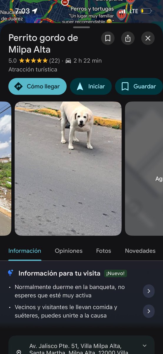 Hanselu's tweet photo. @DiloConPerritos También tienen uno en Milpa alta https://t.co/lyLk43gAjj