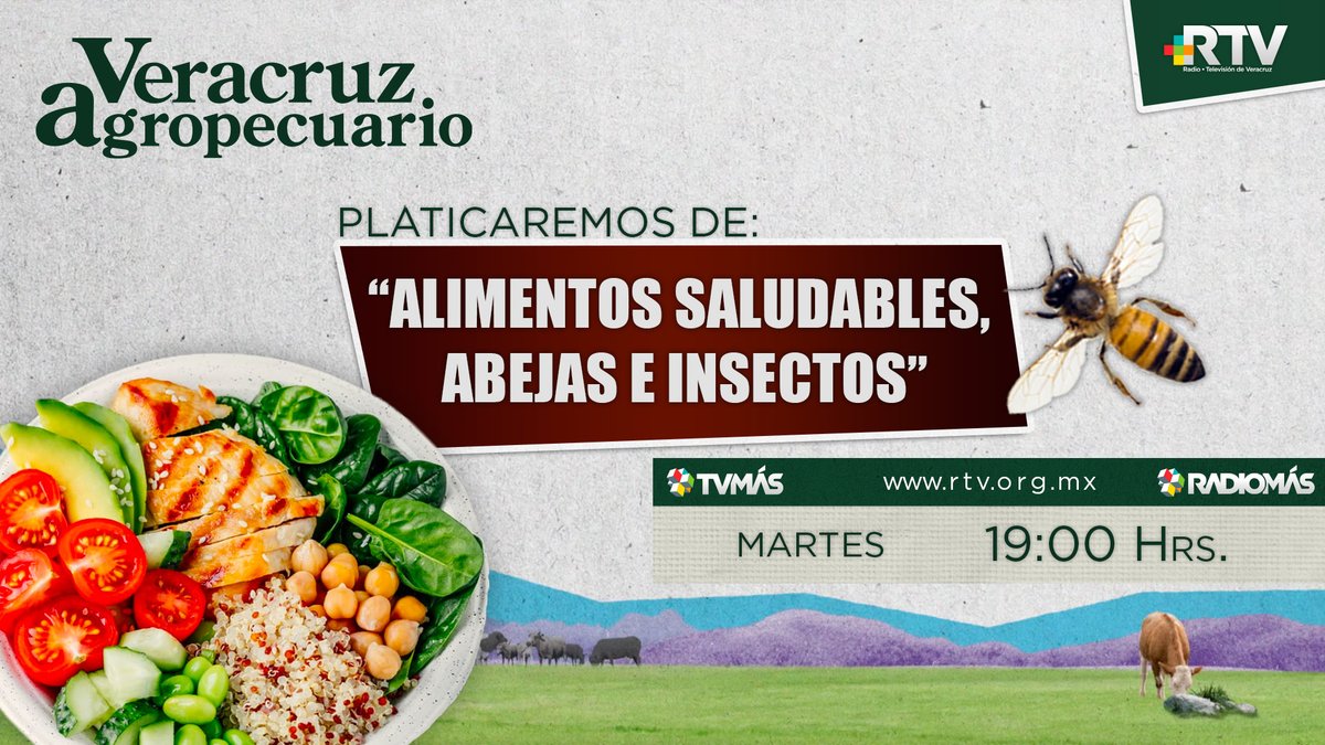 agropecuarioRTV's tweet photo. 🥬 Alimentos Saludables, Abejas e Insectos 🐝
¡Ya estamos al aire!
📺👇
https://t.co/iWW3PPArhb
#VeracruzAgropecuario #martes #2dejunio https://t.co/xRFlEIdpR3