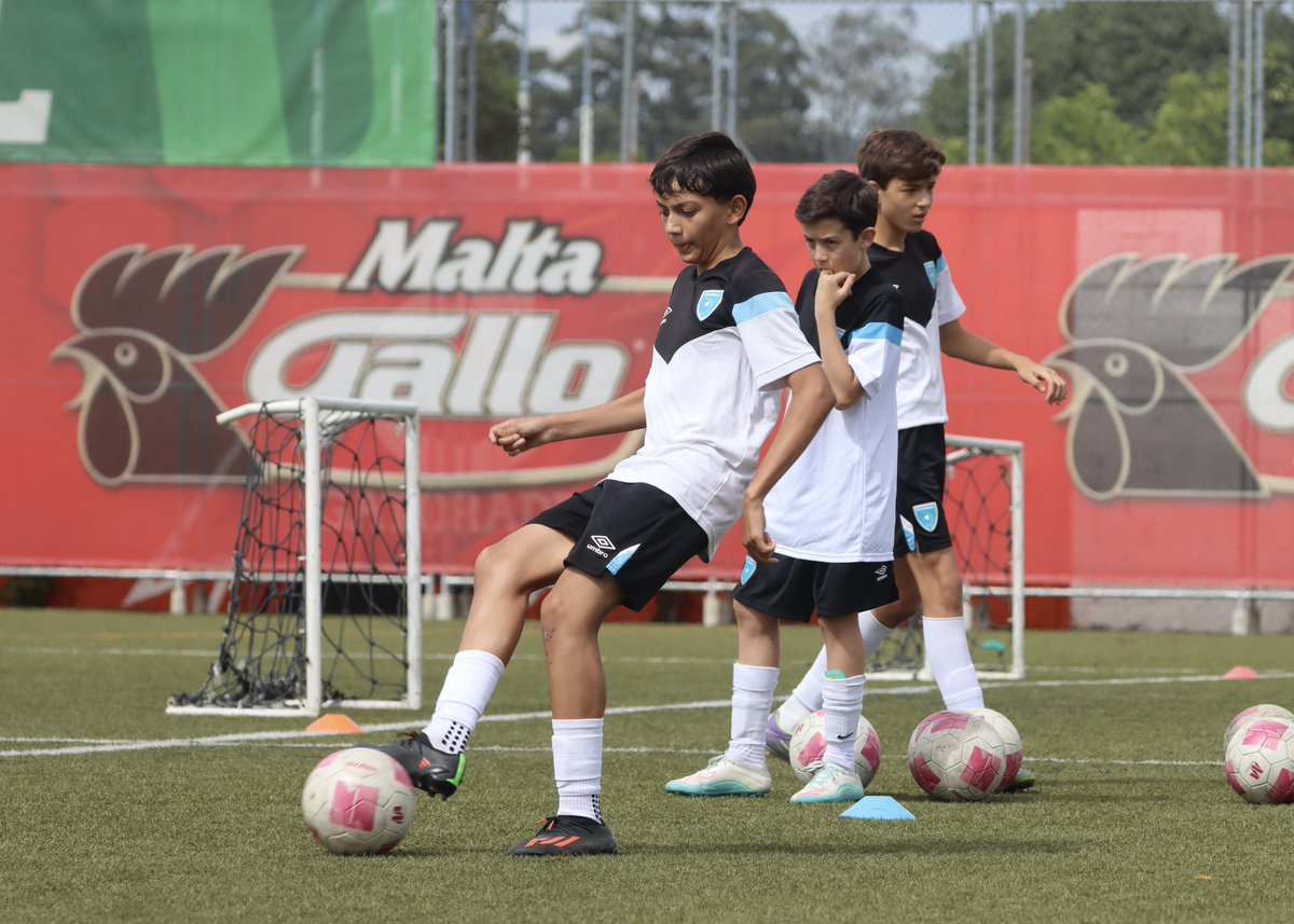 fedefut_oficial's tweet photo. TDS-FIFA | LOS MÁS CHICOS SE UNEN A LOS ENTRENOS 💙🇬🇹⚽️
Selección U 13 Masculina
Continúan los entrenamientos de la #SeleSub13 en el Centro de Alto Rendimiento -CAR-FFG.
#VamosGuate #VamosChicos https://t.co/KKGq4acave