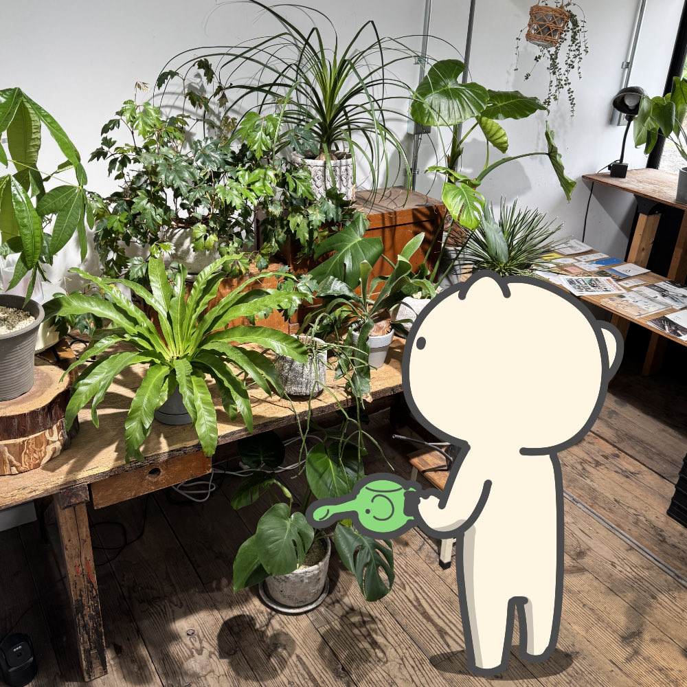mgnet_office's tweet photo. おはようございにゃす(=^･ω･^=)
雨の #燕市 にゃす☔️

台風でお天気が荒れてる地域が多いにゃすね🌬️
お出かけの際は気をつけるにゃすよ！
こんなお天気の日はお気に入りのグリーンたちに癒されていようと思いにゃす🌱

#企業公式が毎朝地元の天気を言い合う
#企業公式相互フォロー https://t.co/uDJobm355d