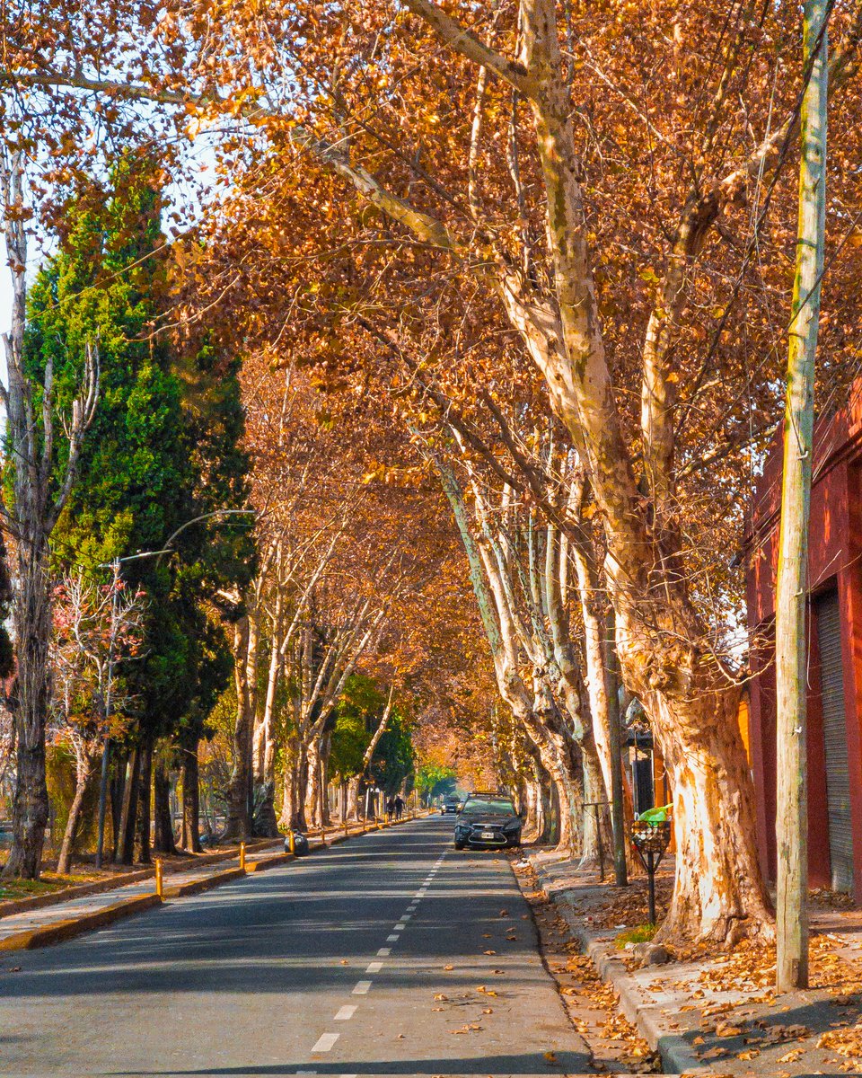 BALandscapes's tweet photo. Colores otoñales en Villa Ballester https://t.co/gfpCjLI0Ec