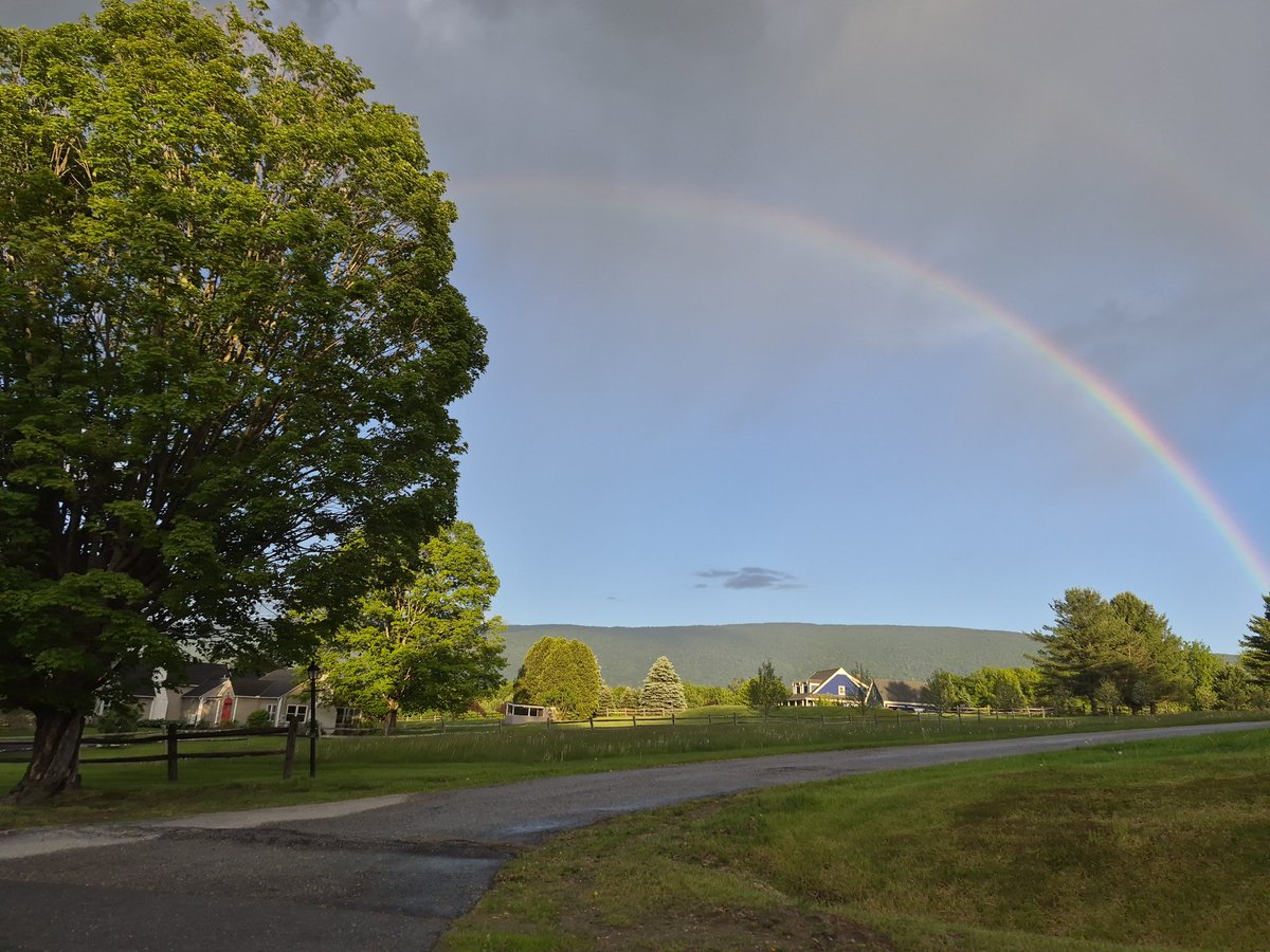 SnowMonkeyArts's tweet photo. Lovely evening double rainbow 🥰

(It's actually turned into a triple rainbow for a sec) https://t.co/dHfT6VCOof