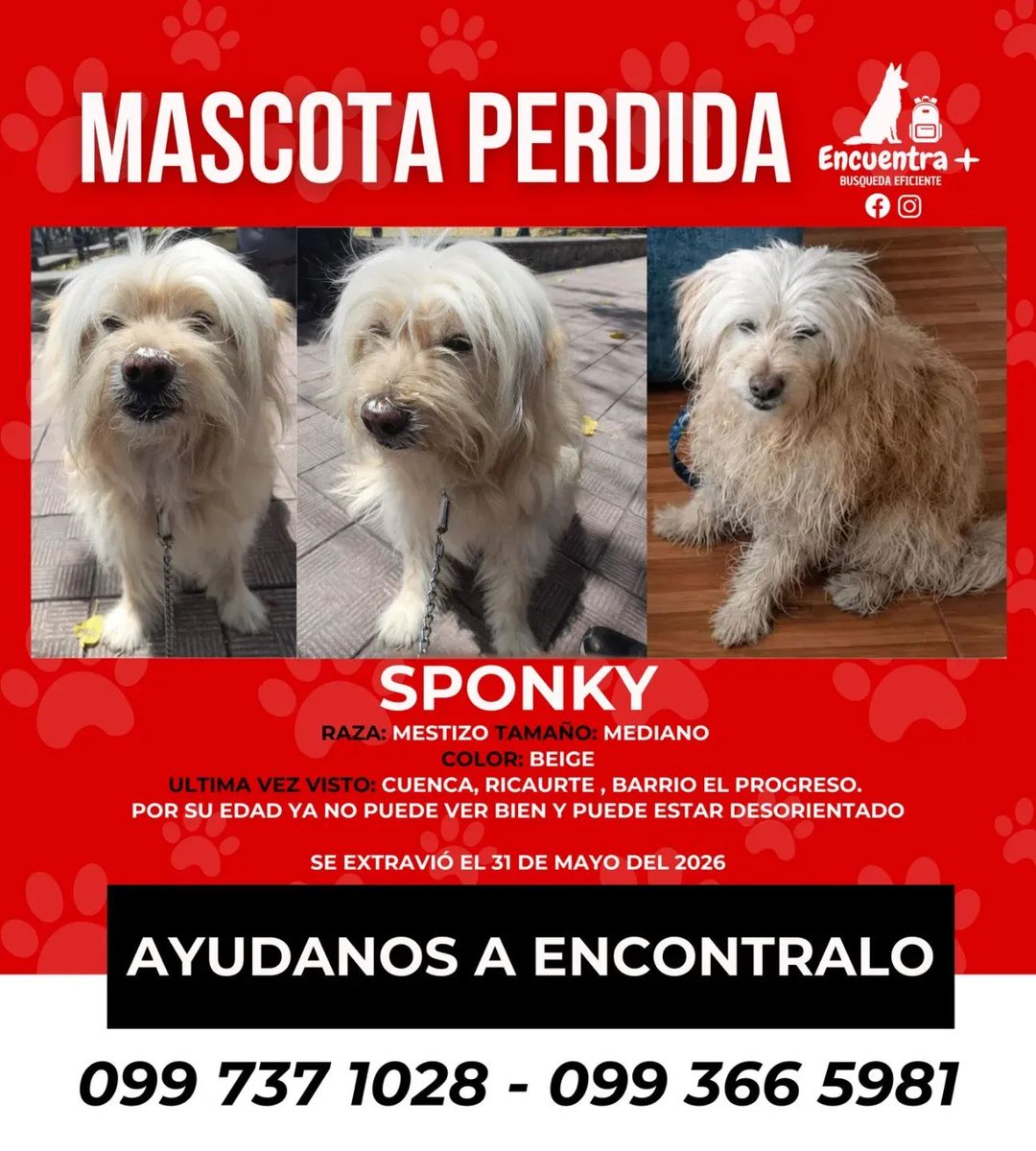peluditoscuenc's tweet photo. #CUANTOCUESTAUNAPLACA?
#PONLEPLACA
#CompartirEsAyudar

Marty 🐾 https://t.co/rvbviag4EF