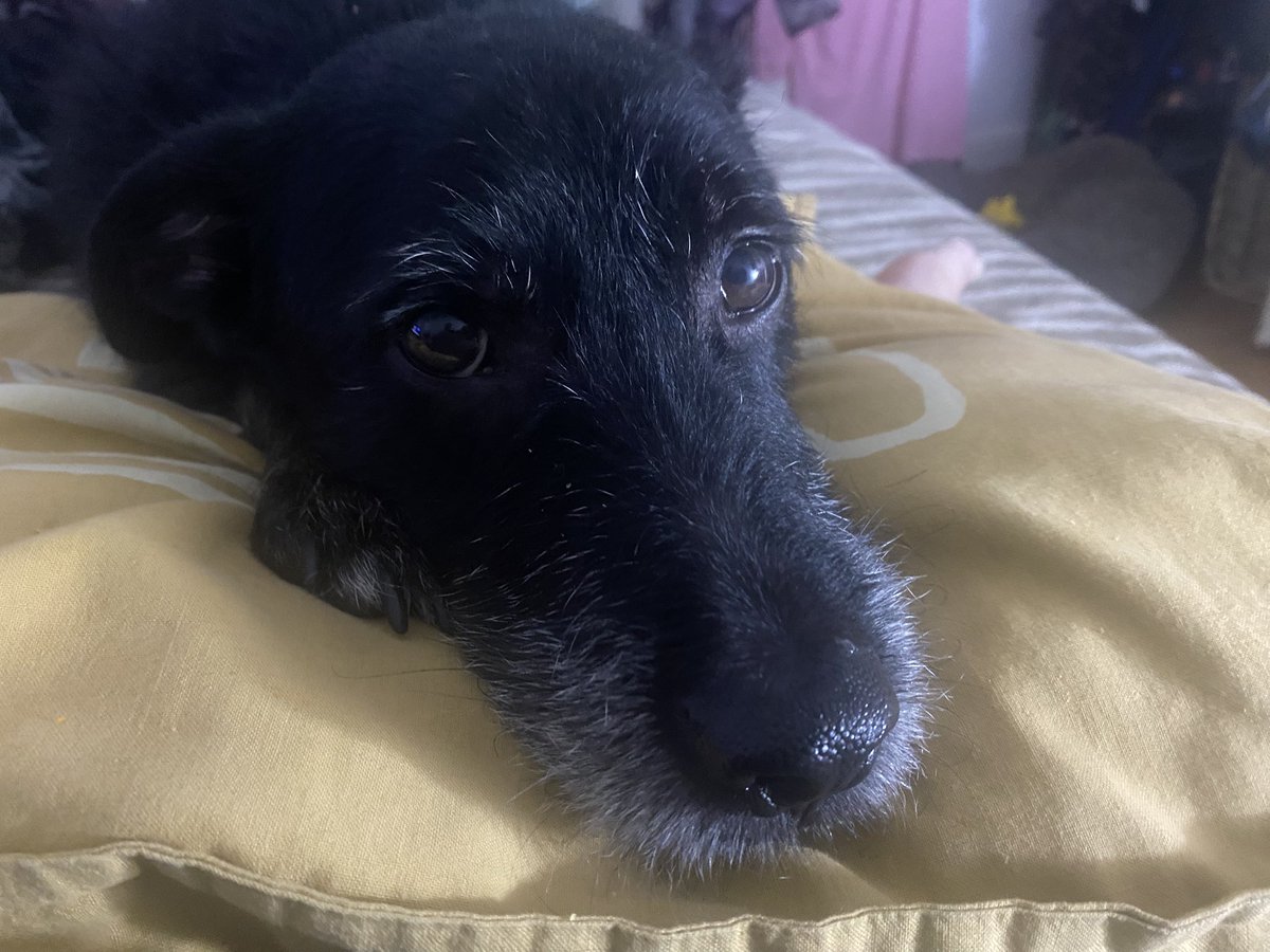 lamatancera's tweet photo. Felíz día Ezequielo del amor https://t.co/8gxQB9IhzC