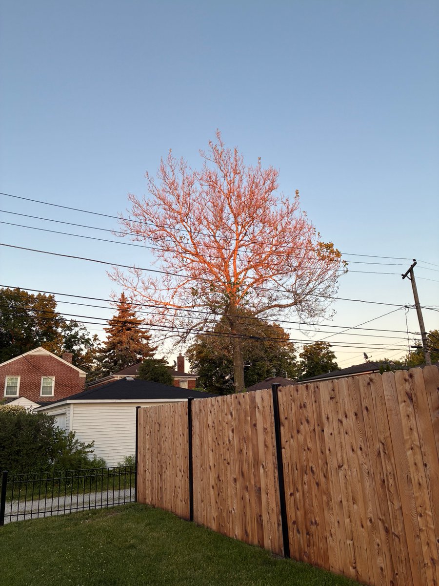 gisabel's tweet photo. Sunset on evening stroll https://t.co/I2alpTAZCS