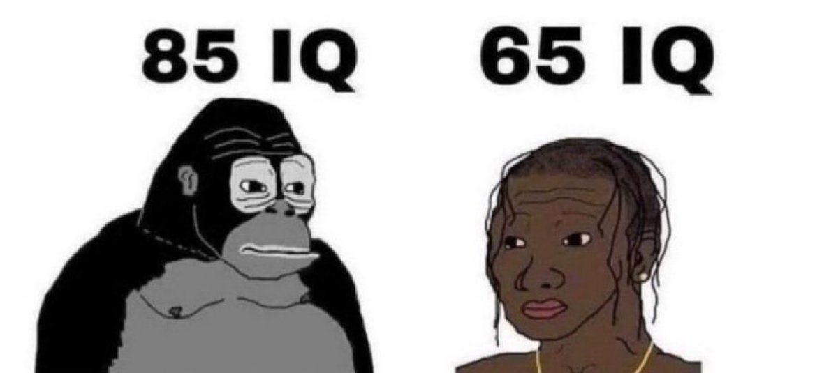 herauringer71's tweet photo. @93billygangsta @MyronGainesX @queenie4rmnola Nobody praises Sudan you phaggot, Myron has clearly an IQ over 140 while you are an average FBA Ape with a 85 IQ like the Gorilla https://t.co/w1JKrHnab0