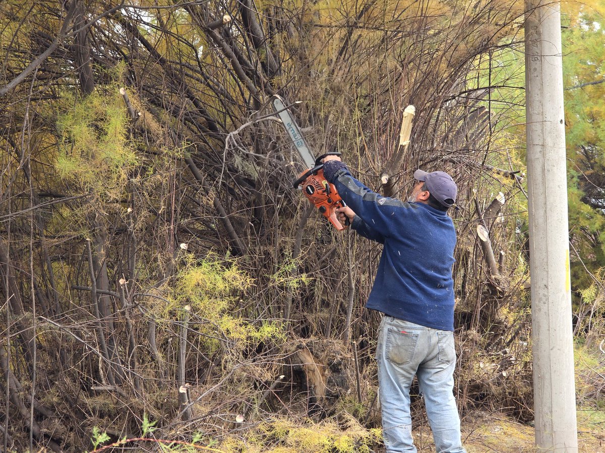 rodrigo_arist's tweet photo. 📍 Villa Arias: nivelación y perfilado de calles, forestación y reparación de una pérdida de agua junto a ABSA.
📍 Pehuen Co: avanza la obra de defensa de la duna costera. https://t.co/xNLQHLF0kr