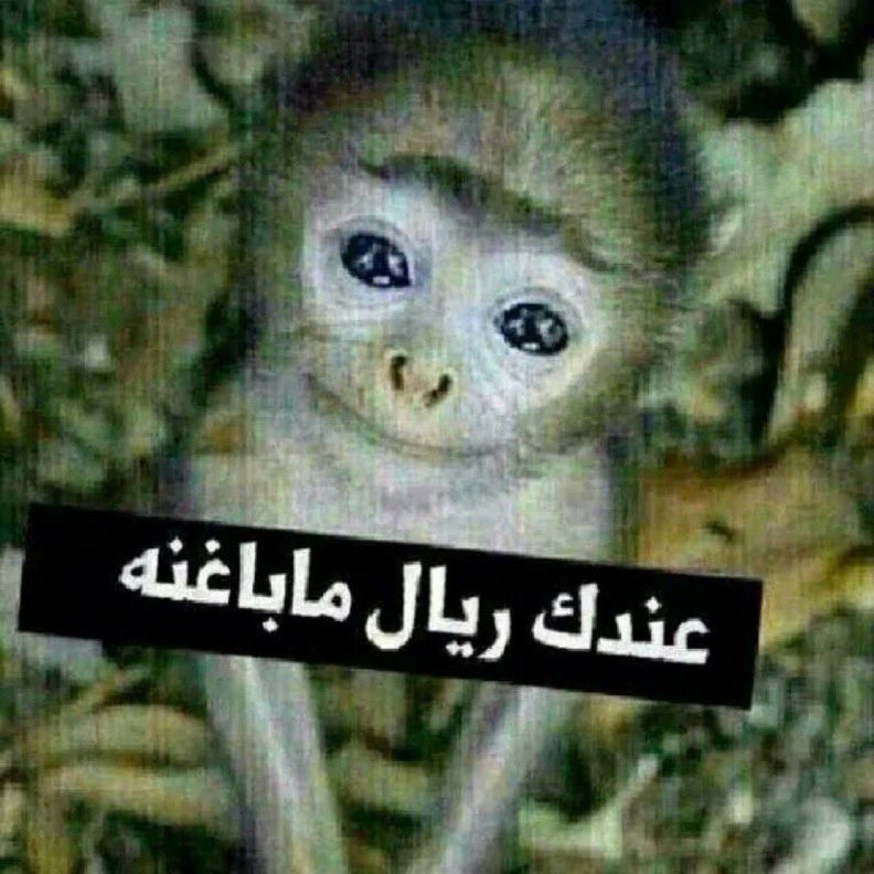 ْ tweet media