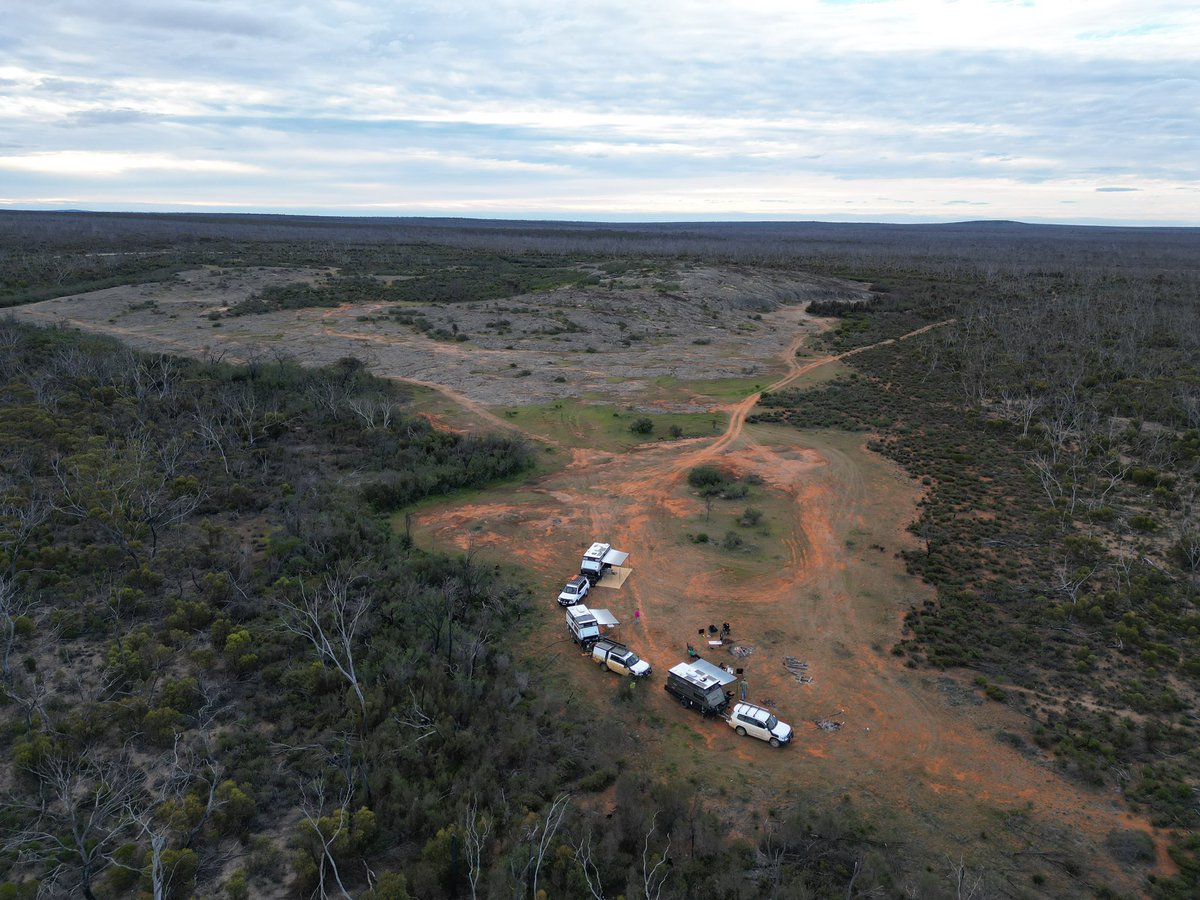 PiggottTash's tweet photo. Spent the long weekend up the bush with mates, followed by a lil Monday arvo croppy. Things aren’t looking too bad. Bit of wind damage in some sandy spots, but overall, we fared ok. https://t.co/2DZhY4AWTH