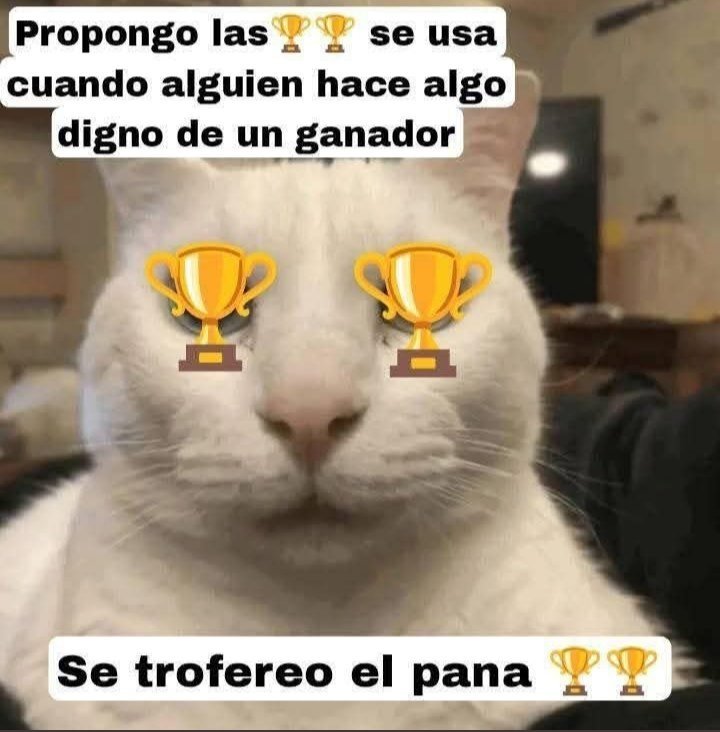 Payrick_19's tweet photo. @ElAndrslvarez1 Pero usted está en la mera fama, así que respeto a quien respeto merece https://t.co/QBx271DrRE