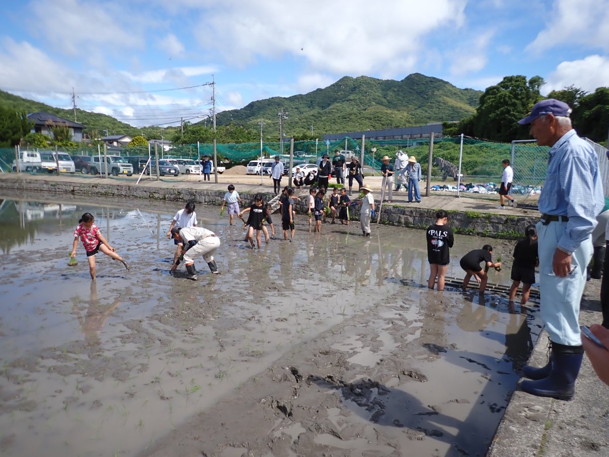 5年生の田植え】 先週、どろんこ遊びを楽しんだ田んぼで、 今日は