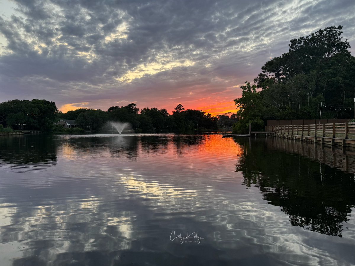 catsunrisechick tweet picture