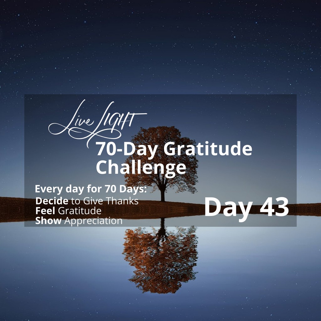 revtrev's tweet photo. Check out https://t.co/xsdYZvJgBc and learn how I can help you get involved in the Live LIGHT 70-Day Gratitude Challenge or do one on your own.

Read more 👉 https://t.co/4nCnSliNg5

#gratitudechallenge #dailygratitude #LiveLIGHT https://t.co/ZuqxFxzWYX