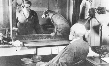 phalpern's tweet photo. Scientists with their dogs:  

Albert Einstein
Erwin Schrödinger*
Richard Feynman
Ivan Pavlov

*Yes, Schrödinger actually had a dog, not a cat.  It was a collie named Burschie (Laddie). https://t.co/CgtiNh8mQq