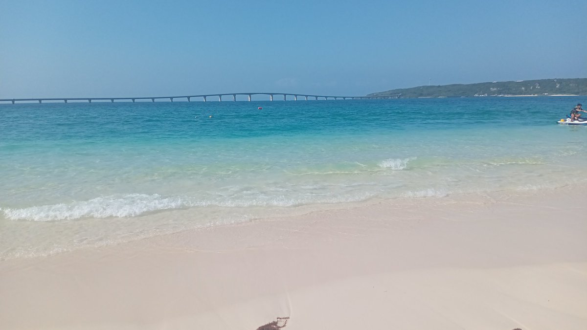 ✿harumi✿ tweet media