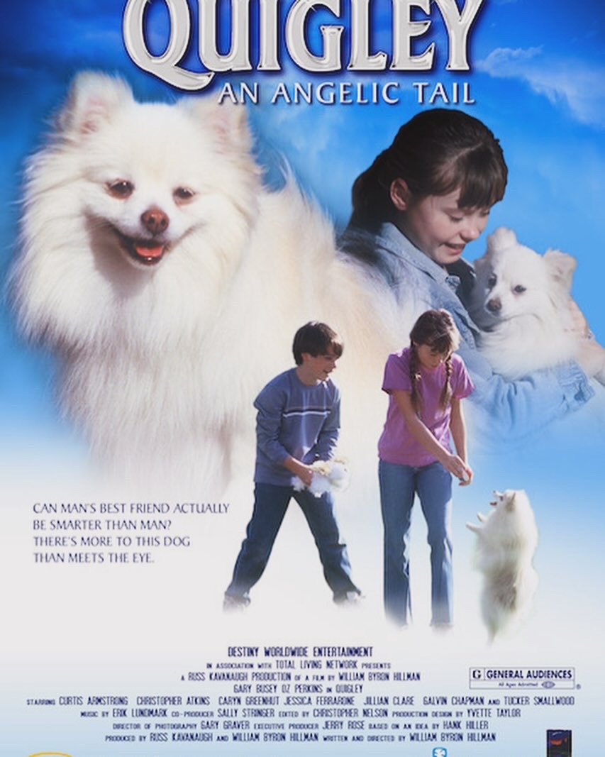 Willyhil's tweet photo. NO, NO, NO
STOP!!
CALL ANIMAL CONTROL
CALL THE GUARDS
GET THE NETS
OMG
IT’S A DOG
QUIGLEY - the movie
FREE to watch on TUBI, FAWESOME and most streaming platforms and in SPANISH too https://t.co/SytVLQZWFN
