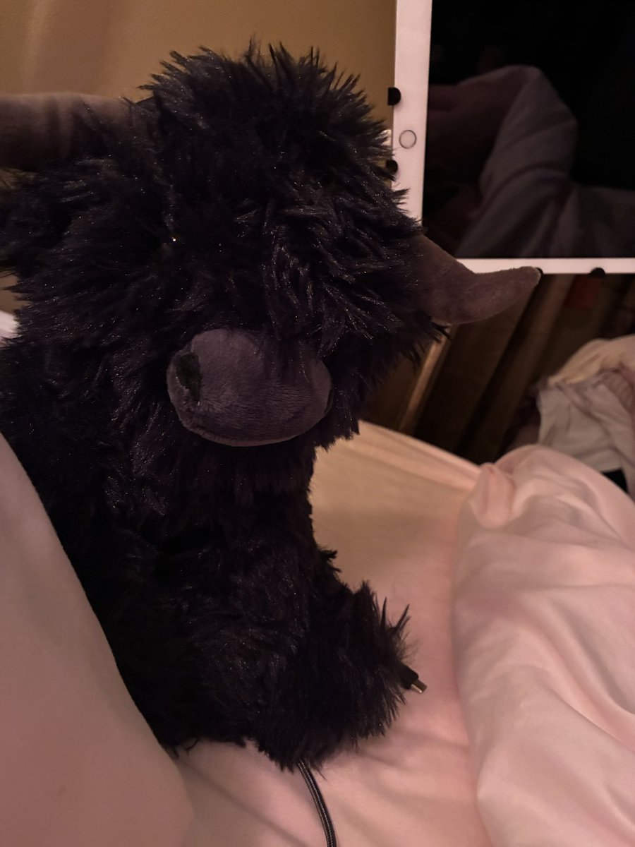 MinqiB's tweet photo. Roll ober &amp; dere is CrankyCooFren @BlackAngus_GotN staring at mi. https://t.co/xepisiflKf