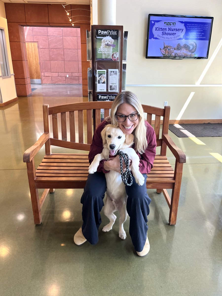 PeninsulaHumane's tweet photo. Enzo the puppy, formerly Sanji, went to his forever home! 🐕 💚 He went home to two furry siblings, where he can have some fun, adorable guidance for his new life. Happy tails! 

#adopted #adoptdontshop #phsspca https://t.co/E6xTmfJcAv