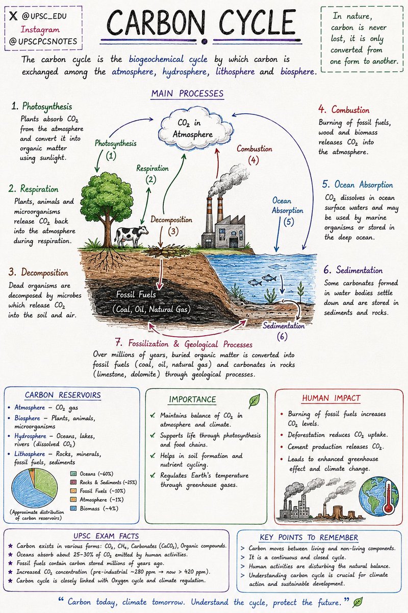 UPSC_EDU's tweet photo. 🎯 Carbon Cycle https://t.co/EOpwl9UJ9q