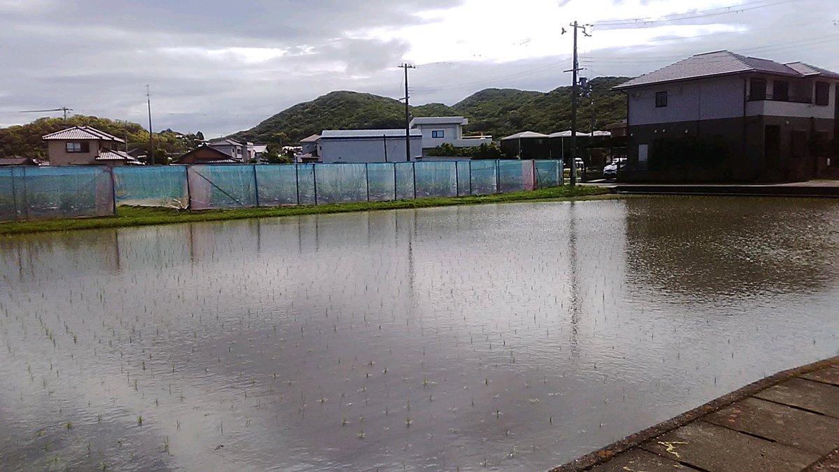 sokenak's tweet photo. 台風一過。何事もなく無事です。
川の流れが速い。まだまだ風は強いです。

#淡路島 https://t.co/HP5Jb0Ai0A