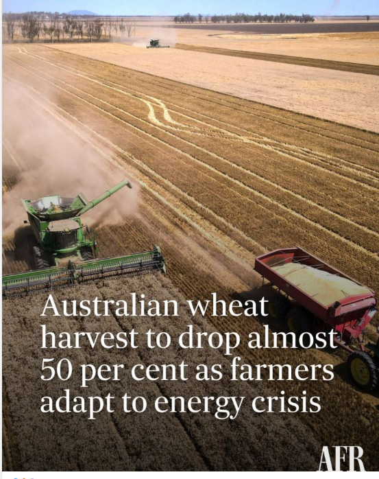 GeraldPiddock's tweet photo. Fark. I'd better start stockpiling on flour https://t.co/akWZmADeAV