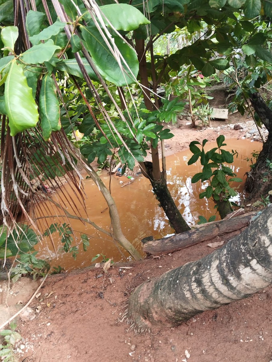 ConredGuatemala's tweet photo. #AltaVerapaz Fuertes lluvias generaron inundación en viviendas ubicadas en barrio Morazán, Fray Bartolomé de las Casas, Alta Verapaz. La #COMRED realizó Evaluación de Daños y Análisis de Necesidades (EDAN).

Fotografías: Sistema CONRED. https://t.co/pCLRdqy7dF