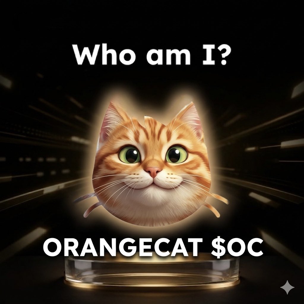 Orange Cat 🍊🐈 tweet media