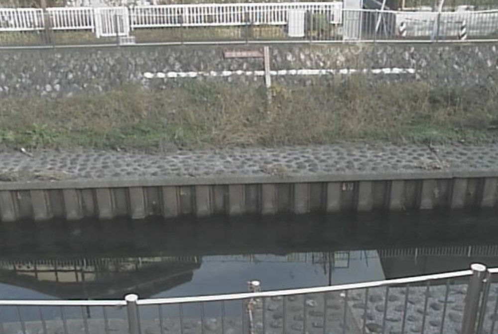web_camera tweet picture