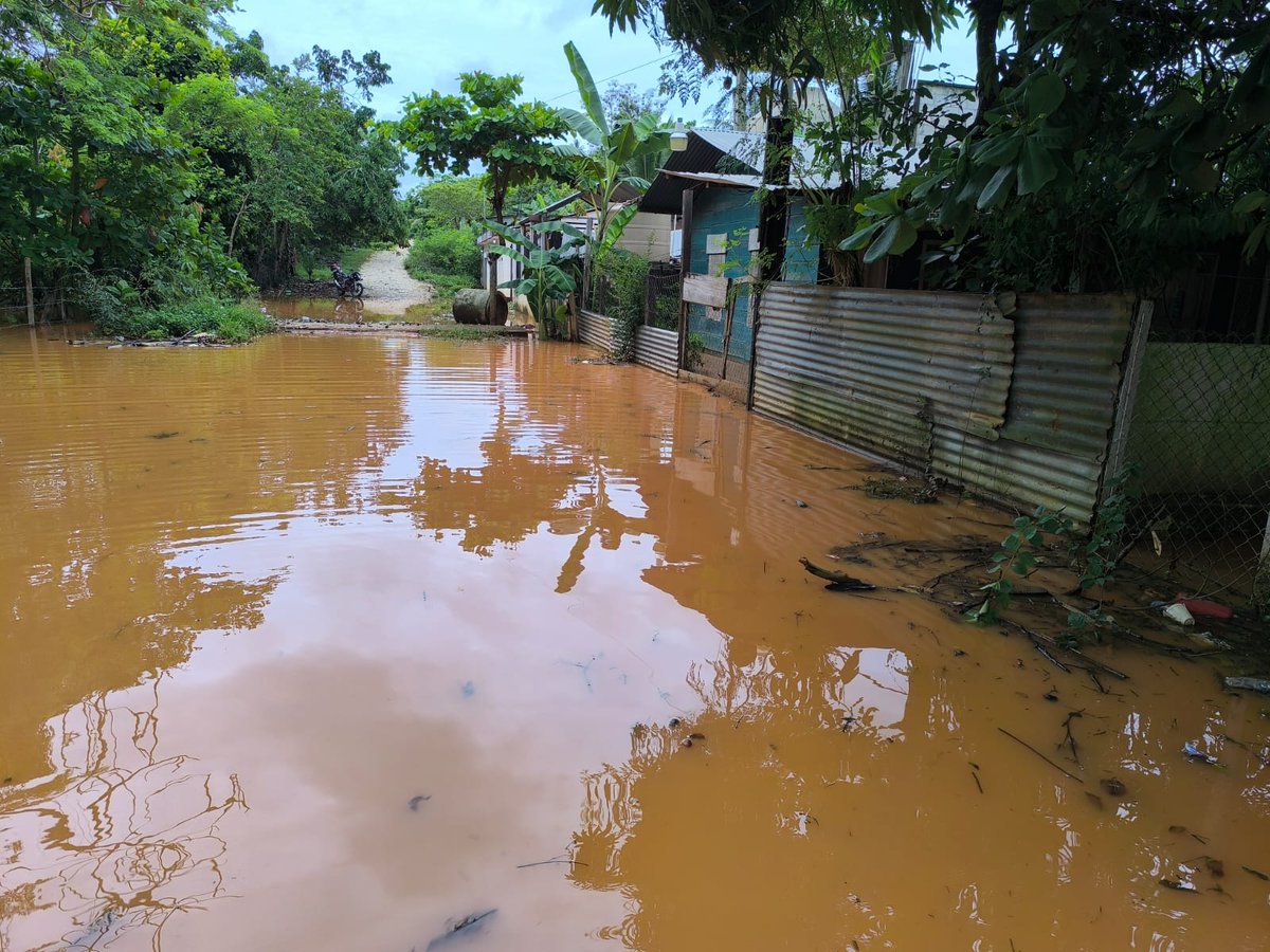 ConredGuatemala's tweet photo. #AltaVerapaz Lluvias registradas en barrio San Juan, Fray Bartolomé de las Casas, Alta Verapaz generaron inundación en viviendas ubicadas en el área. A través de la #COMRED se realizó Evaluación de Daños y Análisis de Necesidades (EDAN).

Fotografías: Sistema CONRED. https://t.co/LyV4dQnL3N