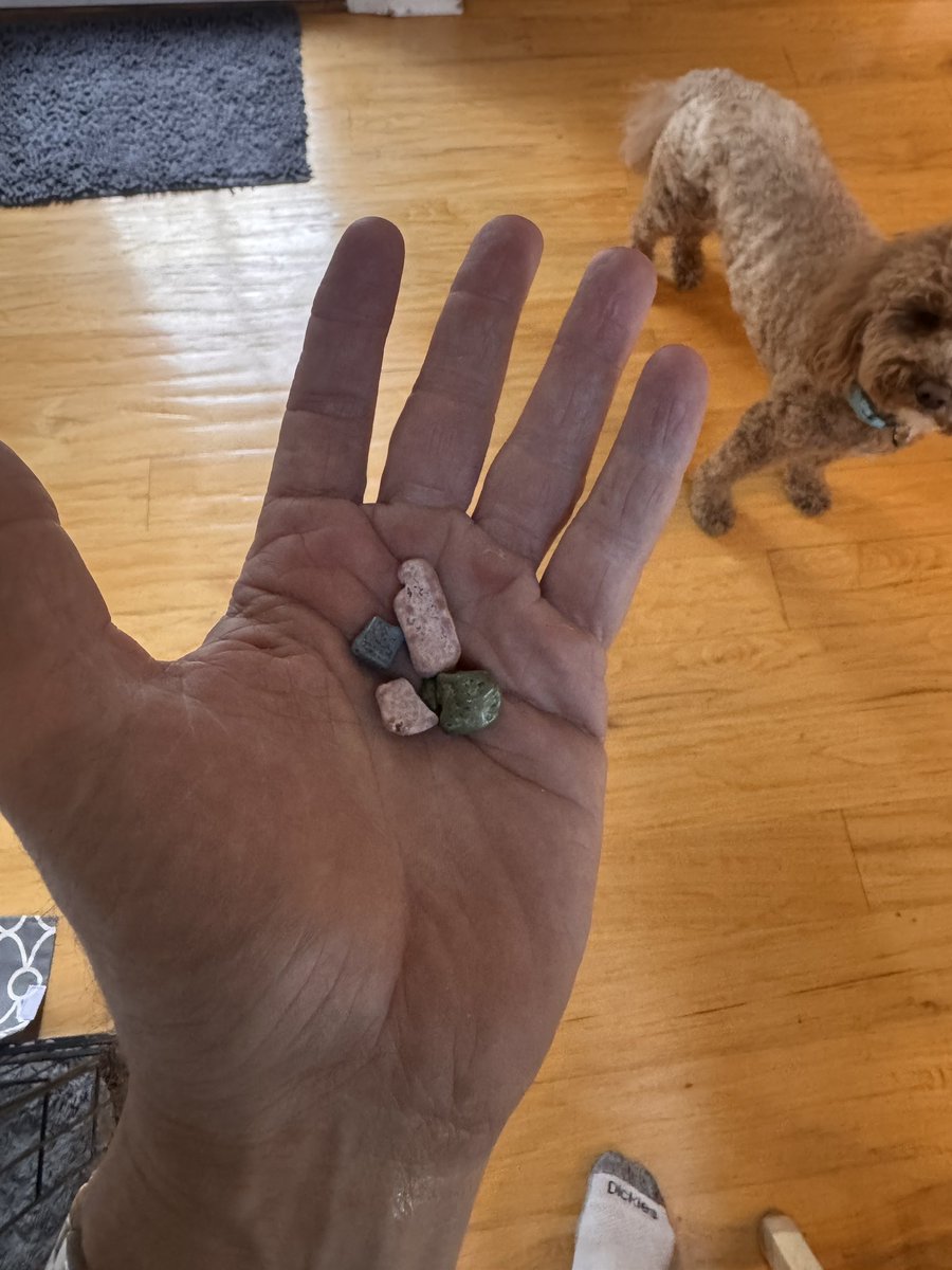 Srasgon's tweet photo. Chocolate rocks wtf https://t.co/PuJbDHh6nC