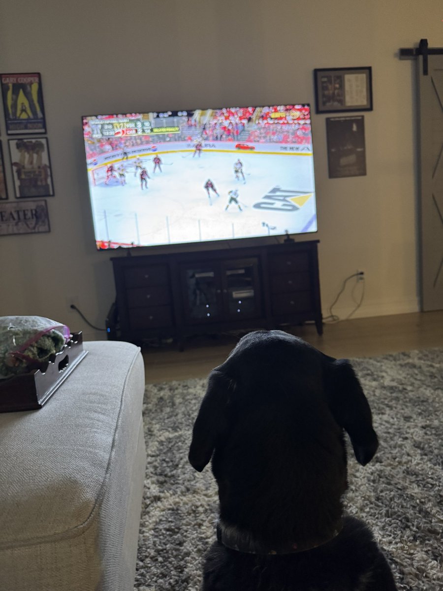 austontrackside's tweet photo. I have a buddy to watch hockey now https://t.co/HFjiEhWj2V
