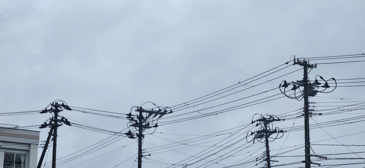 mmieprokobiti07's tweet photo. #いまそら
#イマソラ

今日は雨☔
最高気温は21度です
今日のお勧めは #４年2組 の #BeWild‼です
https://t.co/ZbY0n9JMnw https://t.co/pgn29zi7St