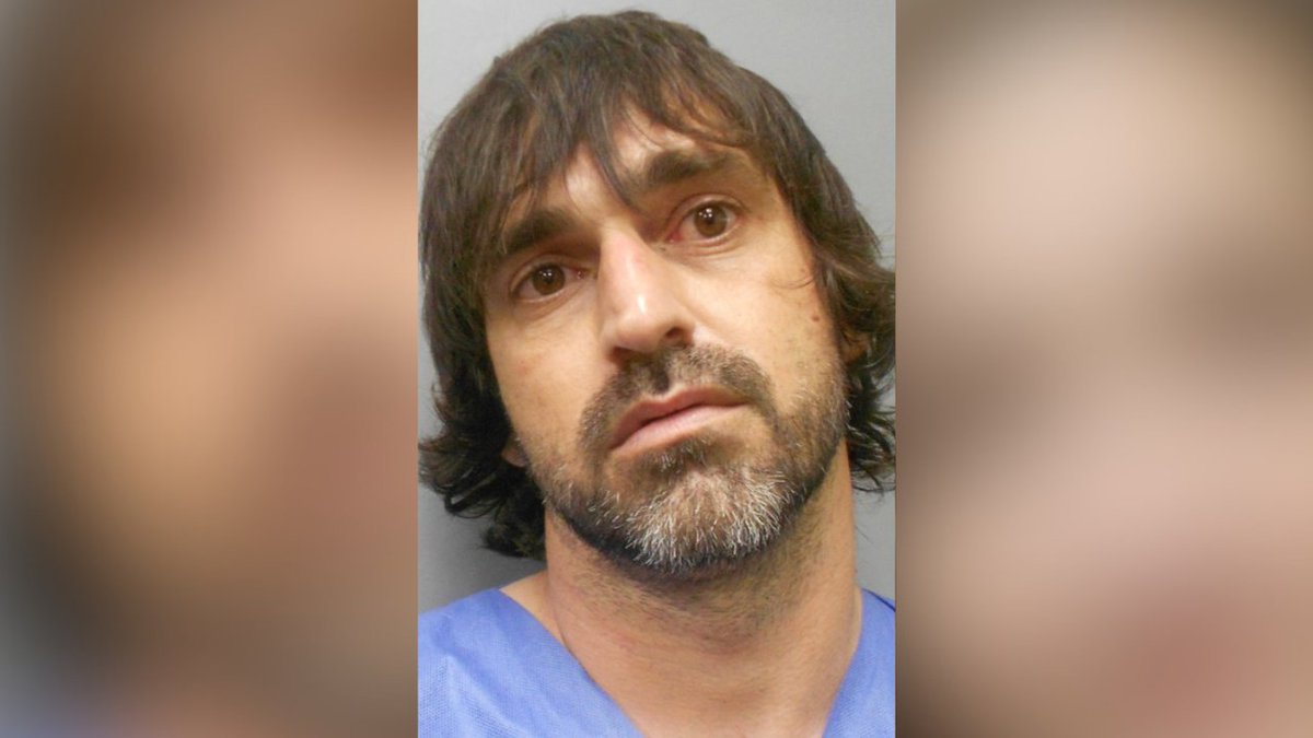 WAFB's tweet photo. Breaux Bridge man swims through bayou and climbs a tree to evade arrest, deputies say https://t.co/U5DZINSs8F https://t.co/nYzKZ6rQnD